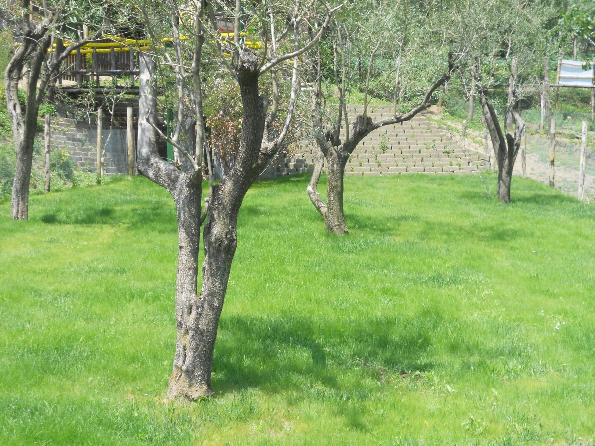 Agriturismo La Casa Del Ghiro Pimonte Buitenkant foto